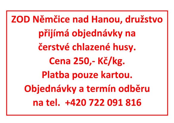 Nabídka - Čerstvé chlazené husy ze ZOD Němčice na Hanou, družstvo.jpg